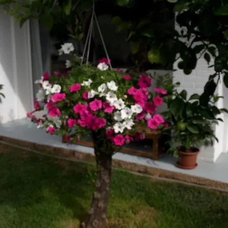 Ribaudo Relax Apartment Mondello