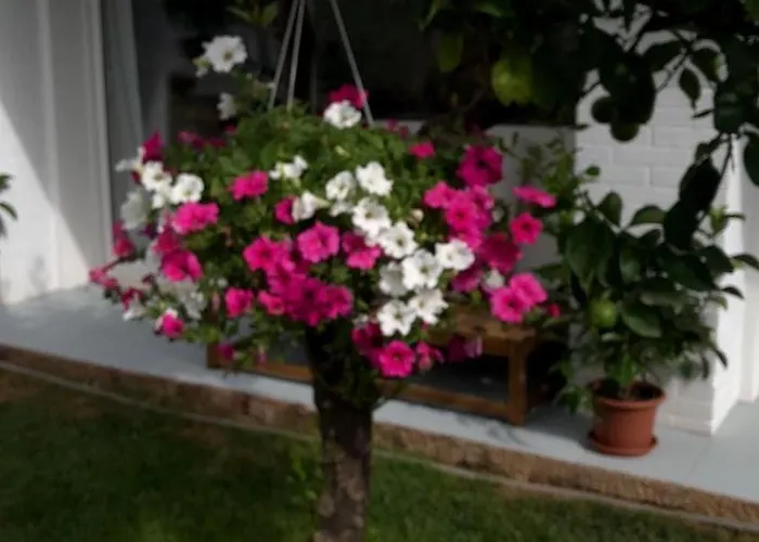 Ribaudo Relax Apartman Mondello